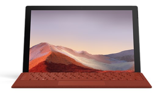 鹿邑清洁和维护 Surface